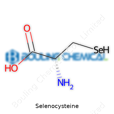 Selenocysteine