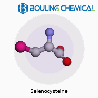Selenocysteine