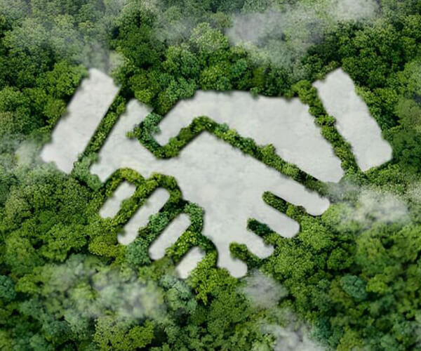 Bouling Chemical Co., Limited